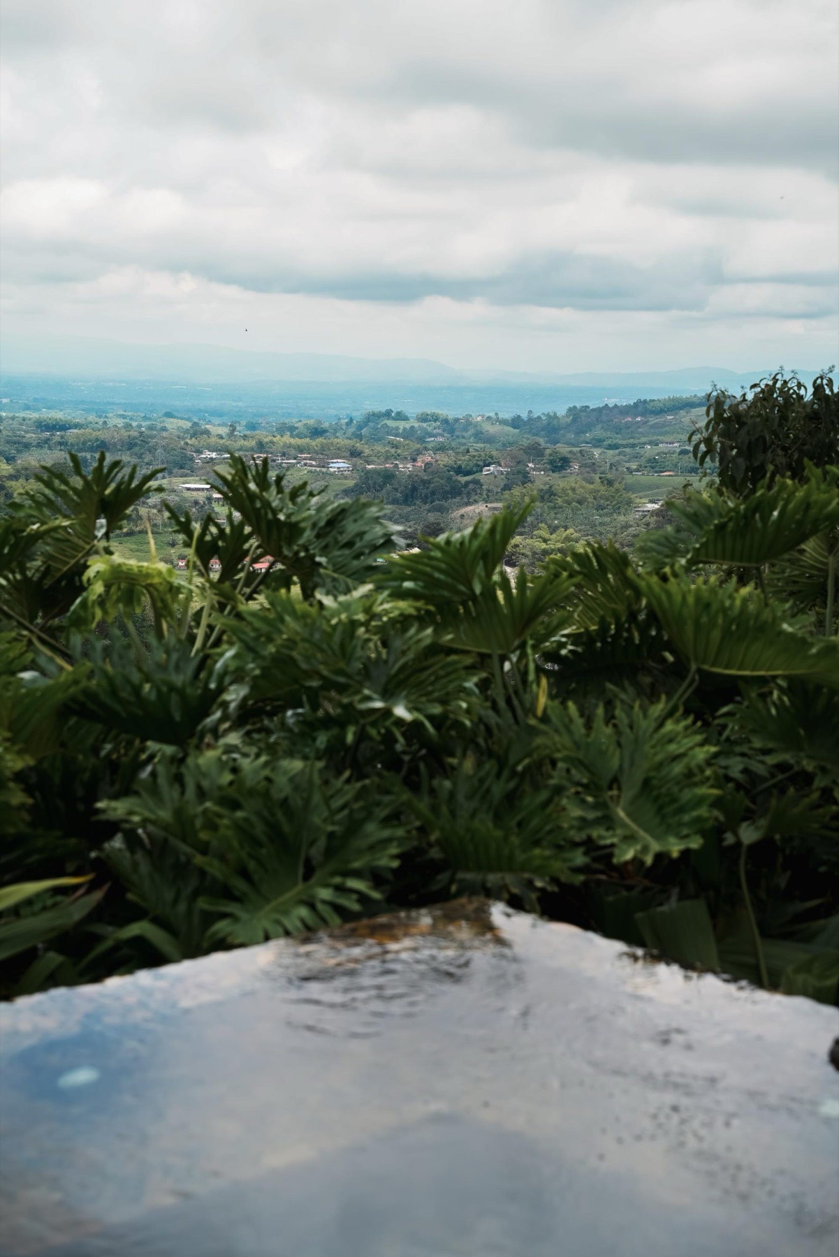 Master Suite — Coffee Region View
