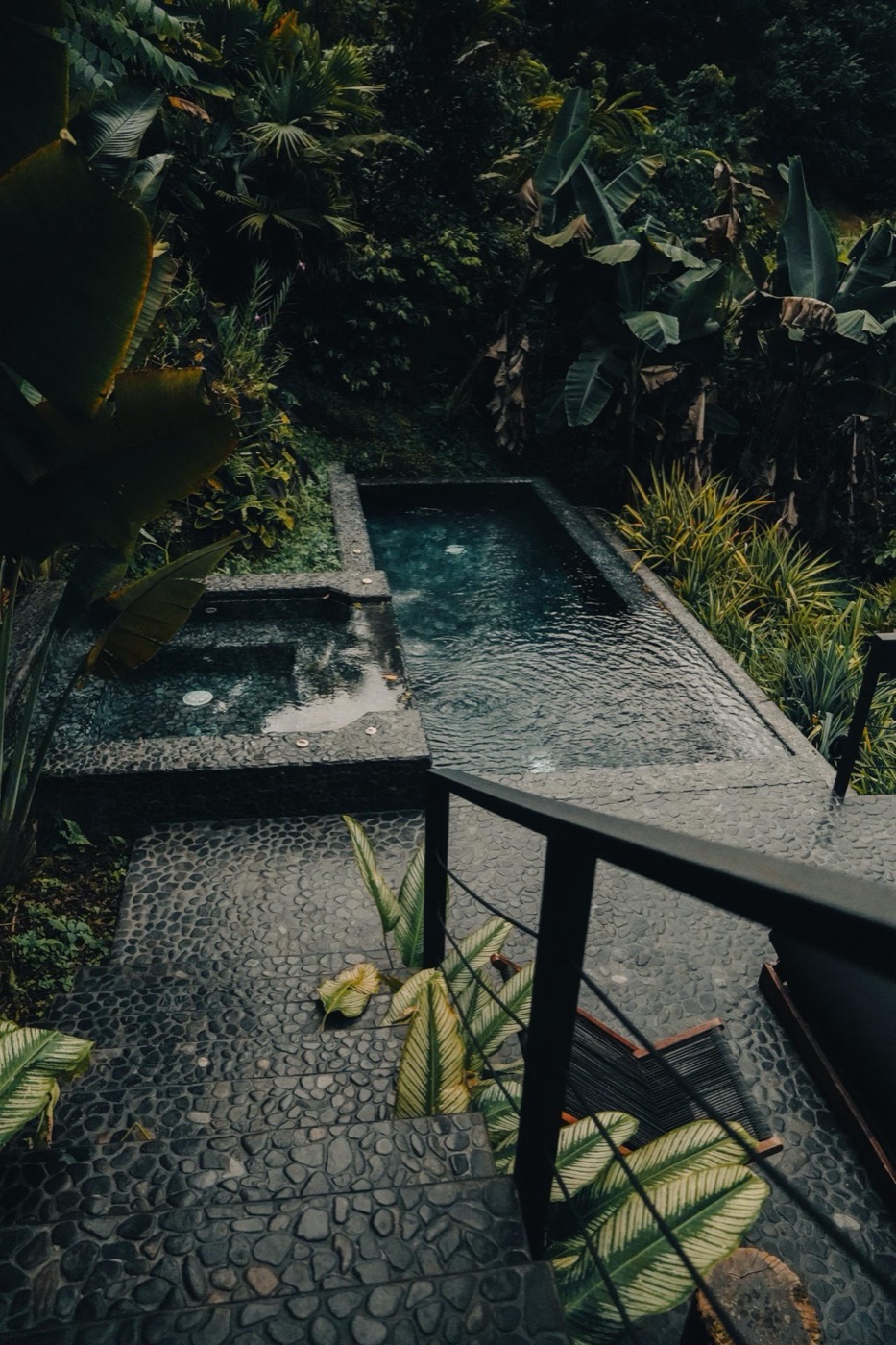 Forest Suite Terrace