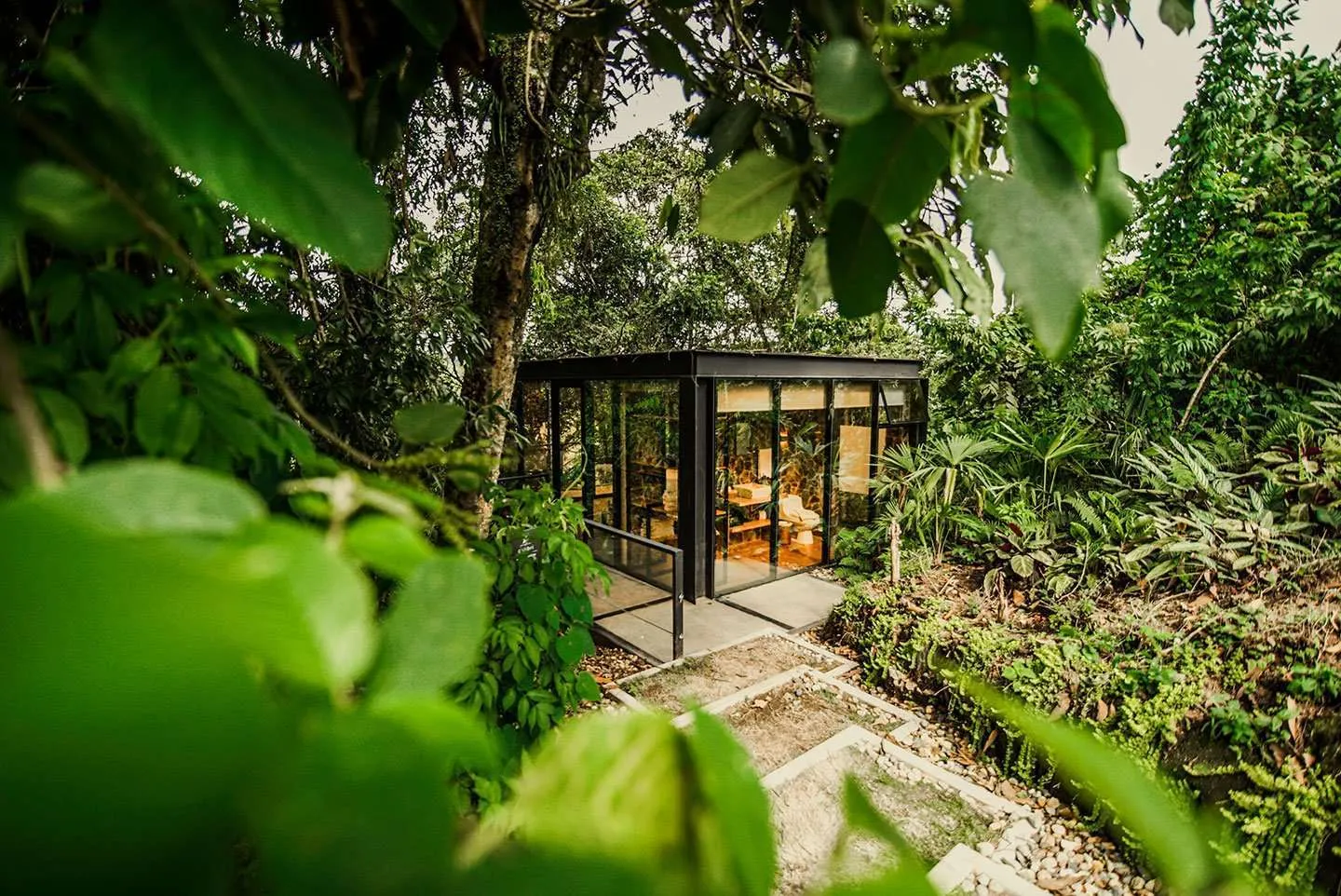 Aviaries