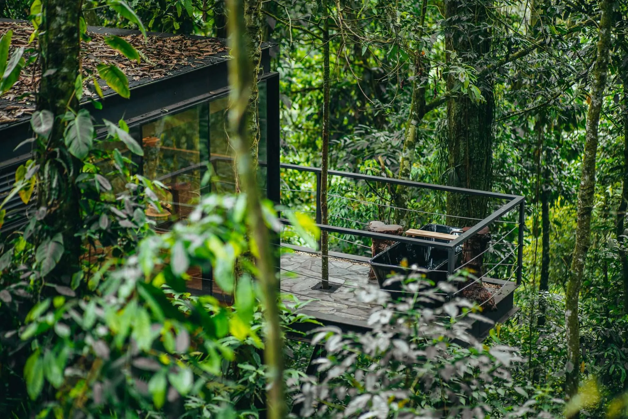 Bosque nativo Bio Habitat